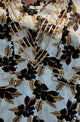 Black & Gold Gharara Suit